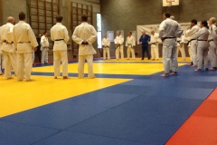 Budostage Maart 2014