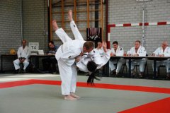 Busen Katawedstrijd 2012