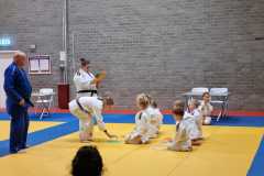 IMG-20251203-WA0003