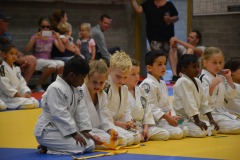 Clubexamens juli 2015