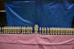 DSC_8504 (Kopie)