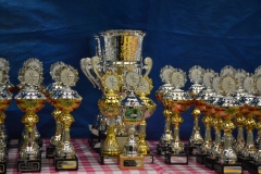 DSC_8505 (Kopie)