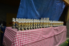 DSC_8508 (Kopie)