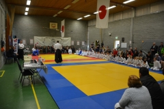 DSC_8509 (Kopie)