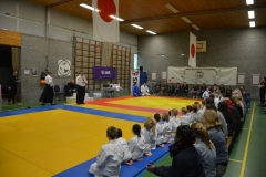 DSC_8510 (Kopie)