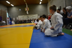 DSC_8511 (Kopie)