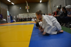 DSC_8512 (Kopie)