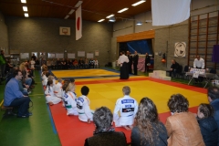 DSC_8518 (Kopie)