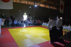 DSC_8535 (Kopie)