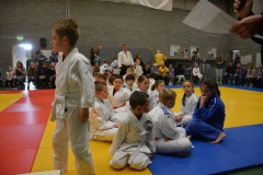 DSC_8554 (Kopie)