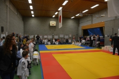 DSC_8555 (Kopie)