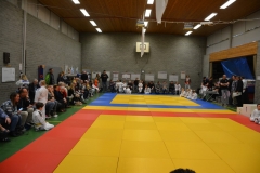 DSC_8556 (Kopie)