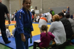 DSC_8564 (Kopie)
