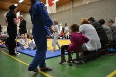 DSC_8565 (Kopie)
