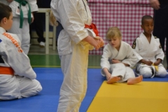 DSC_8570 (Kopie)