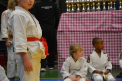 DSC_8571 (Kopie)