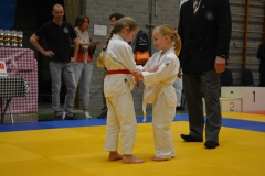 DSC_8573 (Kopie)