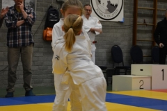 DSC_8574 (Kopie)