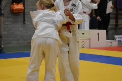 DSC_8576 (Kopie)