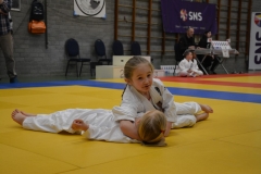 DSC_8580 (Kopie)