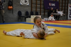DSC_8581 (Kopie)