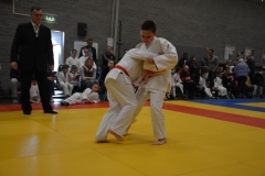 DSC_8635 (Kopie)
