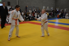 DSC_8637 (Kopie)