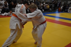 DSC_8638 (Kopie)