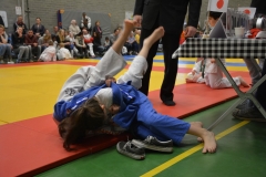DSC_8657 (Kopie)