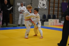 DSC_8663 (Kopie)
