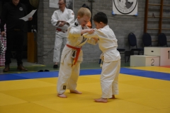 DSC_8664 (Kopie)
