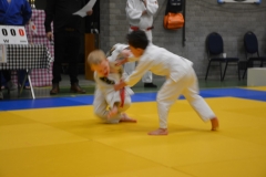 DSC_8665 (Kopie)