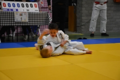 DSC_8666 (Kopie)