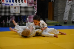 DSC_8667 (Kopie)