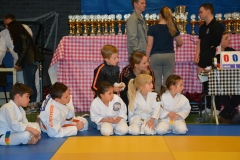 DSC_8682 (Kopie)