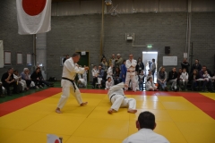DSC_8703 (Kopie)