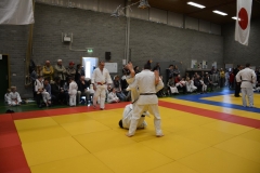 DSC_8711 (Kopie)