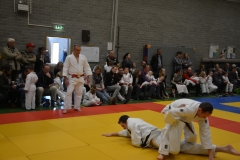 DSC_8712 (Kopie)