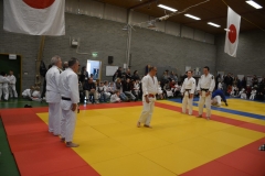 DSC_8724 (Kopie)