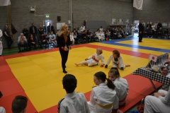 DSC_8986 (Kopie)