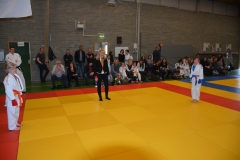 DSC_8987 (Kopie)