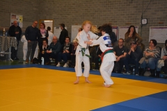 DSC_8989 (Kopie)