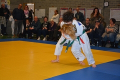 DSC_8990 (Kopie)