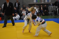 DSC_8991 (Kopie)