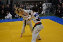 DSC_8992 (Kopie)