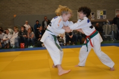 DSC_8993 (Kopie)