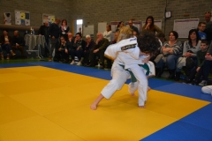 DSC_8994 (Kopie)