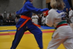 DSC_8998 (Kopie)