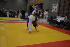 DSC_9000 (Kopie)