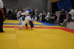 DSC_9002 (Kopie)